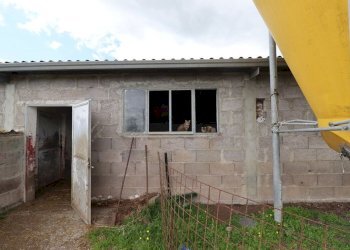 Foto 49 - Terreno agricolo Provinciale Onanese, Acquapendente - foto 49