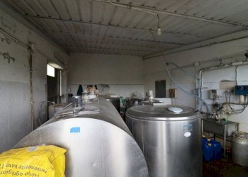 Foto 51 - Terreno agricolo Provinciale Onanese, Acquapendente - foto 51