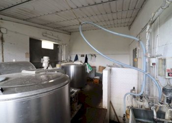 Foto 52 - Terreno agricolo Provinciale Onanese, Acquapendente - foto 52