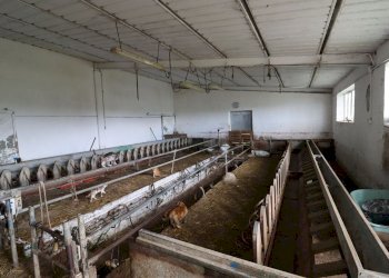 Foto 53 - Terreno agricolo Provinciale Onanese, Acquapendente - foto 53