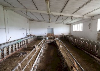 Foto 54 - Terreno agricolo Provinciale Onanese, Acquapendente - foto 54