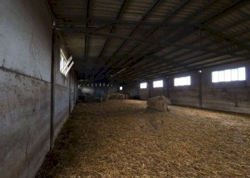 Foto 55 - Terreno agricolo Provinciale Onanese, Acquapendente - foto 55