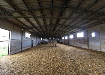 Foto 56 - Terreno agricolo Provinciale Onanese, Acquapendente - foto 56