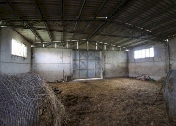 Foto 57 - Terreno agricolo Provinciale Onanese, Acquapendente - foto 57