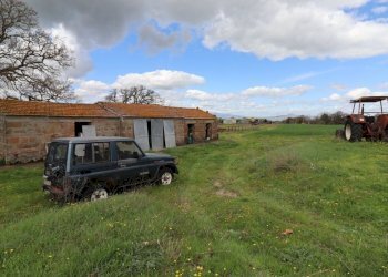 Foto 60 - Terreno agricolo Provinciale Onanese, Acquapendente - foto 60