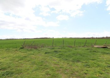 Foto 65 - Terreno agricolo Provinciale Onanese, Acquapendente - foto 65