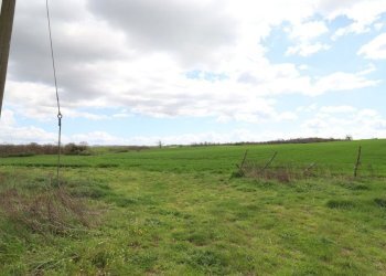 Foto 66 - Terreno agricolo Provinciale Onanese, Acquapendente - foto 66