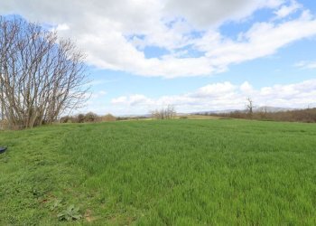 Foto 67 - Terreno agricolo Provinciale Onanese, Acquapendente - foto 67