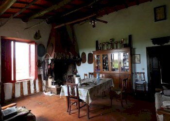 Foto 69 - Terreno agricolo Provinciale Onanese, Acquapendente - foto 69