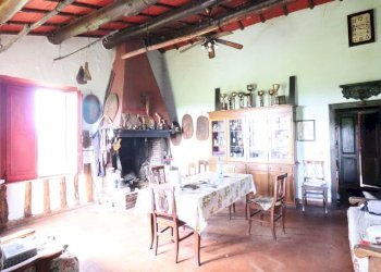 Foto 70 - Terreno agricolo Provinciale Onanese, Acquapendente - foto 70