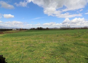 Foto 79 - Terreno agricolo Provinciale Onanese, Acquapendente - foto 79