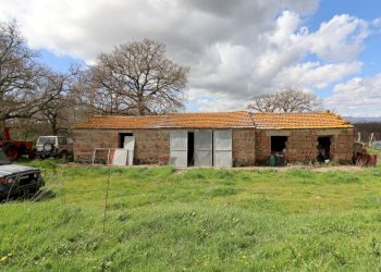 Foto 80 - Terreno agricolo Provinciale Onanese, Acquapendente - foto 80