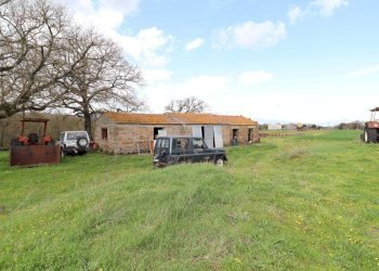 Foto 82 - Terreno agricolo Provinciale Onanese, Acquapendente - foto 82