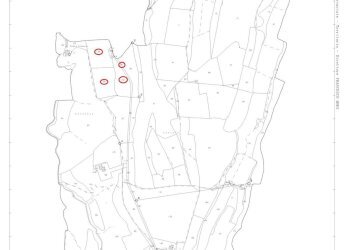 Foto 88 - Terreno agricolo Provinciale Onanese, Acquapendente - foto 88