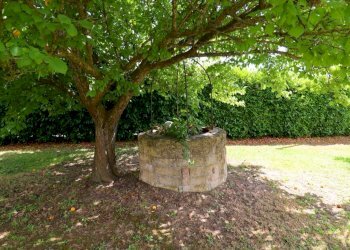 giardino - Villa Fosso del Pavone, Campagnano di Roma - foto 40