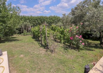 giardino - Villa del Pavone, Campagnano di Roma - foto 15