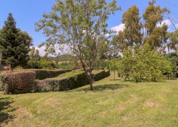 giardino - Villa del Pavone, Campagnano di Roma - foto 17