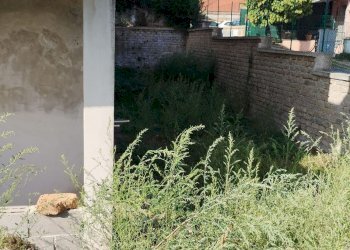 giardino - Villa della Resistenza, Mazzano Romano - foto 16