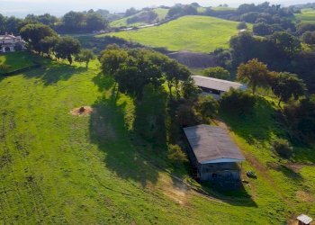 giardino - Villa Solfatare, Sacrofano - foto 2