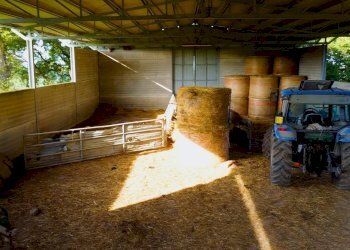 facciata - Villa Solfatare, Sacrofano - foto 5