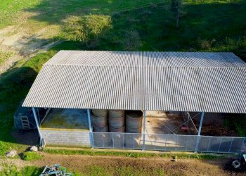 Foto 6 - Villa Solfatare, Sacrofano - foto 6