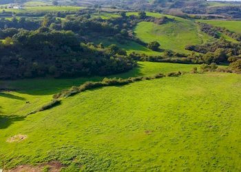giardino - Villa Solfatare, Sacrofano - foto 9