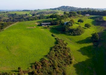 giardino - Villa Solfatare, Sacrofano - foto 10