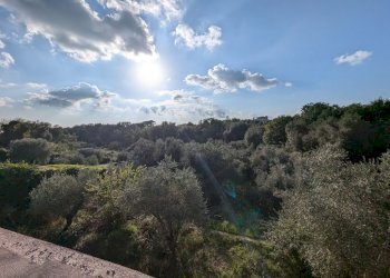 vista - Rustico del Praticello, Formello - foto 23