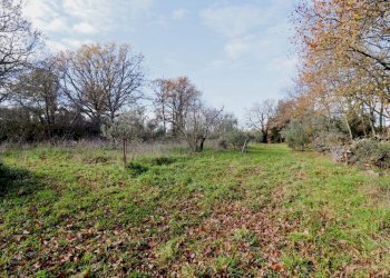 giardino - Villa di Campagnano, Sacrofano - foto 43