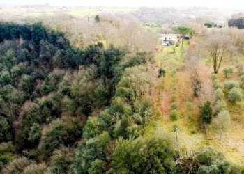 vista - Villa di Campagnano, Sacrofano - foto 55