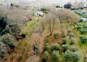 giardino - Villa di Campagnano, Sacrofano - foto 61