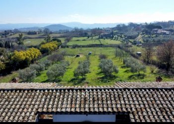 vista - Rustico degli Uccelletti, Monterosi - foto 13