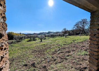 giardino - Rustico degli Uccelletti, Monterosi - foto 21