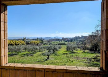 vista - Rustico degli Uccelletti, Monterosi - foto 29