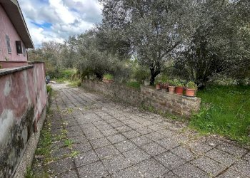 giardino - Villa Pancallo, Mazzano Romano - foto 28