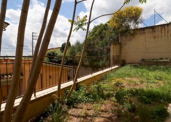 giardino - Bilocale Arturo Toscanini, Rignano Flaminio - foto 22