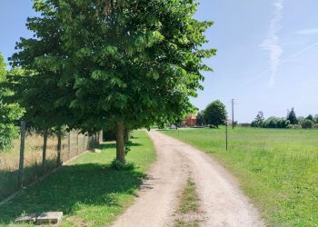 giardino - Villa Tuscanese, Viterbo - foto 11