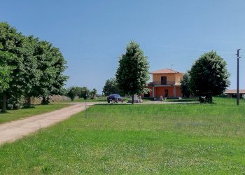giardino - Villa Tuscanese, Viterbo - foto 12