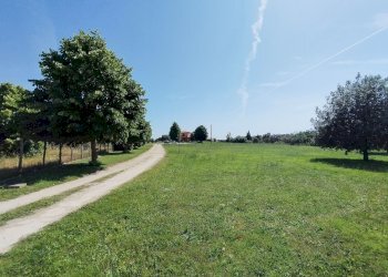 giardino - Villa Tuscanese, Viterbo - foto 15