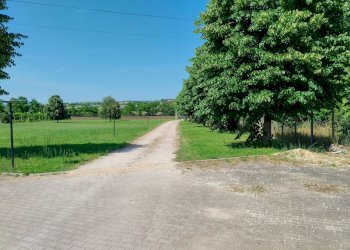 giardino - Villa Tuscanese, Viterbo - foto 16