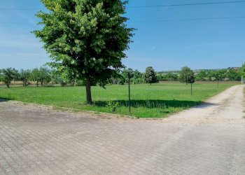 giardino - Villa Tuscanese, Viterbo - foto 20