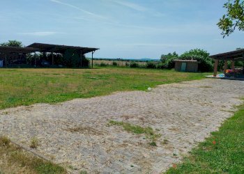 giardino - Villa Tuscanese, Viterbo - foto 25