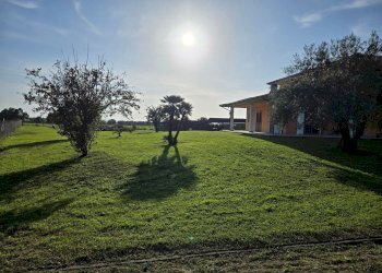 giardino - Villa Tuscanese, Viterbo - foto 42