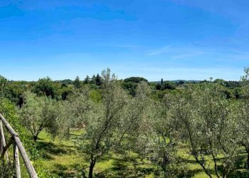 vista - Villa delle Piane di Formello, Campagnano di Roma - foto 45