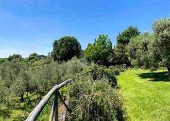giardino - Villa delle Piane di Formello, Campagnano di Roma - foto 46