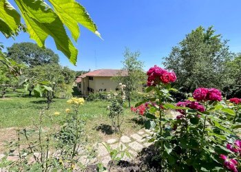 giardino - Villa delle Piane di Formello, Campagnano di Roma - foto 56