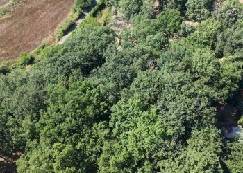 giardino - Casa semi indipendente della Selvotta, Formello - foto 66