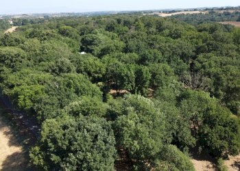 vista - Casa semi indipendente della Selvotta, Formello - foto 68