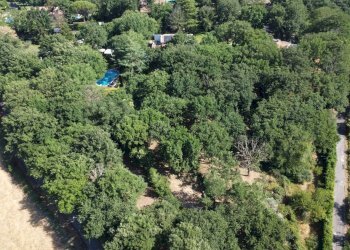 giardino - Casa semi indipendente della Selvotta, Formello - foto 69