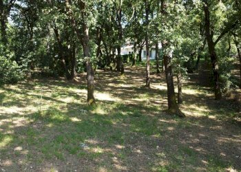 giardino - Casa semi indipendente della Selvotta, Formello - foto 70